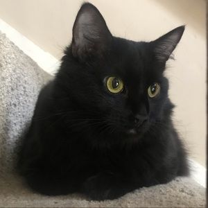 Meet your Posher, Mia